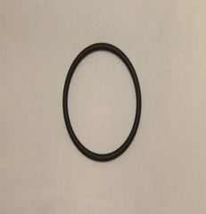 308908144.jpg