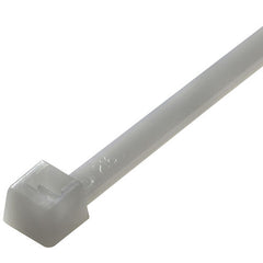 308908246.jpg