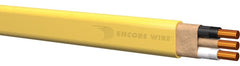 308909004.jpg