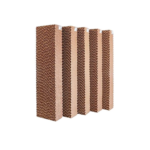 308909048.jpg