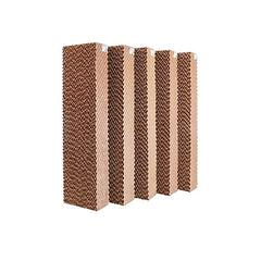 308909048.jpg
