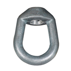 308910574.jpg