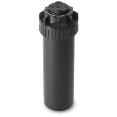 308910754.jpg