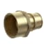 JONES STEPHENS Jones Stephens f76173 Brass Pex Adapter F1960 X Fip 2 in