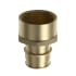 JONES STEPHENS Jones Stephens f76173 Brass Pex Adapter F1960 X Fip 2 in