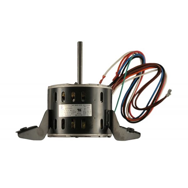 308912235.jpg