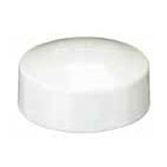 TIGRE Tigre 116-3302 Pvc Dwv Cap Fitting 2 Inch Hub