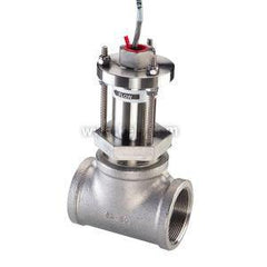 BADGER METER Badger Meter 228CB2005-1211 Inline Flow Meter 2 in