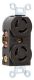 LEGRAND Legrand 7580 Duplex Locking Receptacle 15A 125V