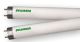 OSRAM Osram FO25/841/ECO T8 Fluorescent Lamp 25W 4100K 36 Inch