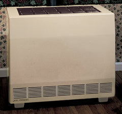 309279809.jpg