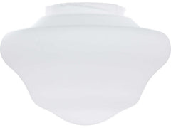 FANIMATION Fanimation G3OP myFanimation fan light 120V 9.98in diameter 6.32in height