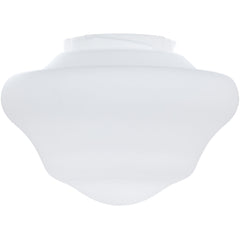 FANIMATION Fanimation G3OP myFanimation fan light 120V 9.98in diameter 6.32in height