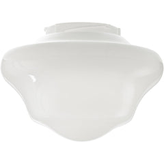 FANIMATION Fanimation G3OP myFanimation fan light 120V 9.98in diameter 6.32in height