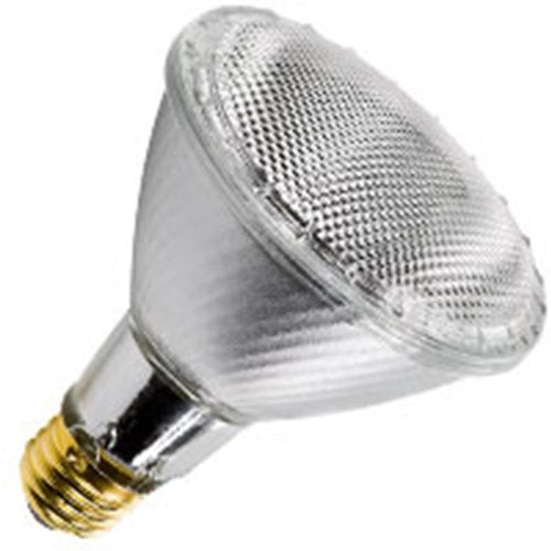 HALCO Halco 70342 PAR30L FL E26 Silver HaloXen HP30FL60L/S/HX Halogen Flood Long Neck Lamp Bulb 60W 4 Qty.