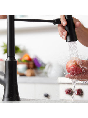 HANSGROHE Hansgrohe 4793670 ccy lf 1.75 1hdl lev pd kitc fct 1.75 GPM 150 degree swivel