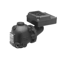 XYLEM Xylem 129302 Combination Low Water Cut Off and Pump Controller with SPST Snap Action Switches 120 Volt 1 Inch FIP Connection