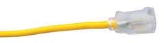 SOUTHWIRE Southwire 1687SW0002 Polar/Solar SJEOOW outdoor extension cord with light ends 15A 125V 25ft 12/3