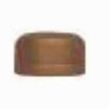 LEGEND VALVE Legend Valve 310-125 1 inch bronze caps
