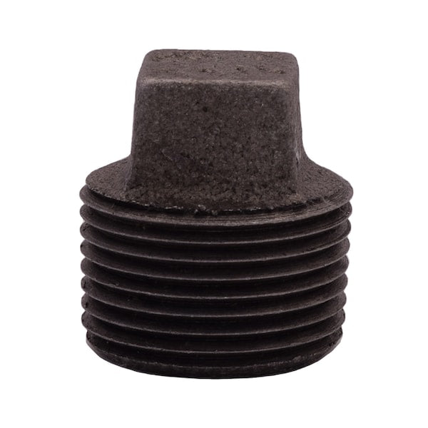 LEGEND VALVE Legend Valve 350-405 1 inches Black Square Head Plug