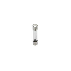 MERSEN Mersen GGC10 Fast-Acting Glass Fuse 250V 10A 1/4 x 1 1/4 inch V1037640