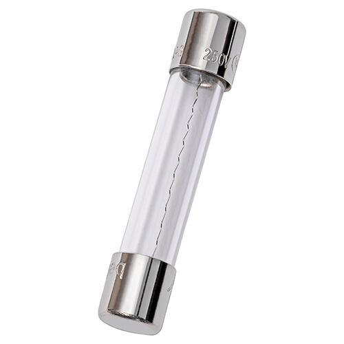 MERSEN Mersen GGC10 Fast-Acting Glass Fuse 250V 10A 1/4 x 1 1/4 inch V1037640