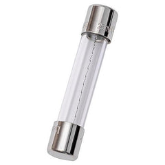 MERSEN Mersen GGC10 Fast-Acting Glass Fuse 250V 10A 1/4 x 1 1/4 inch V1037640
