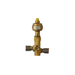 CARRIER Carrier 00PPG000484600A Valve EXV 12VDC 1 in