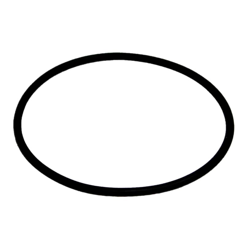 309545833.jpg