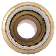 RELIANCE WORLDWIDE Reliance Worldwide UIP4016A coupler 3/4 inch IPS x CTS SB