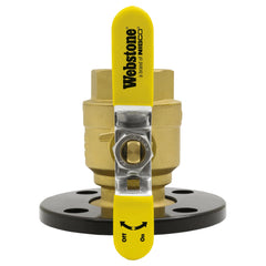 WEBSTONE Webstone H-41407HV-RF400 2 inches Threaded Round Isolator with Detachable Rotating Flange