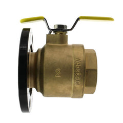 WEBSTONE Webstone H-41407HV-RF400 2 inches Threaded Round Isolator with Detachable Rotating Flange