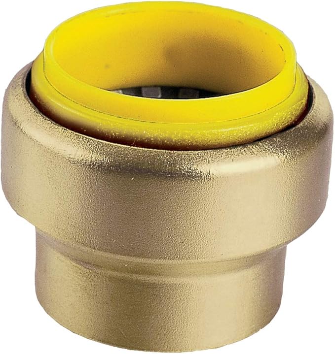 WEBSTONE Webstone 26602W Propush 1/2-inch end cap H-26602W