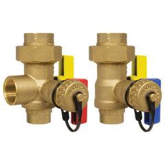 WEBSTONE Webstone H-42443W E-X-P Ultra-Compact Tankless Water Heater Service Valve Kit 3/4 inches FIP Union x FIP
