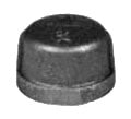 LEGEND VALVE Legend Valve 350-481 1/4 inches Black Cap