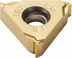 SECO TOOLS Seco 00049744 Laydown Threading Insert 1.75mm Iso CP500