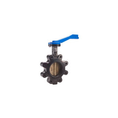 LEGEND VALVE Legend Valve 116-606 T-365AB butterfly valve with EPDM seals & 10 position handle 6 inch lug