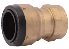 RWC Rwc UXL113532F coupling with female connector 1-1/4 inches x 1-1/4 inches FNPT