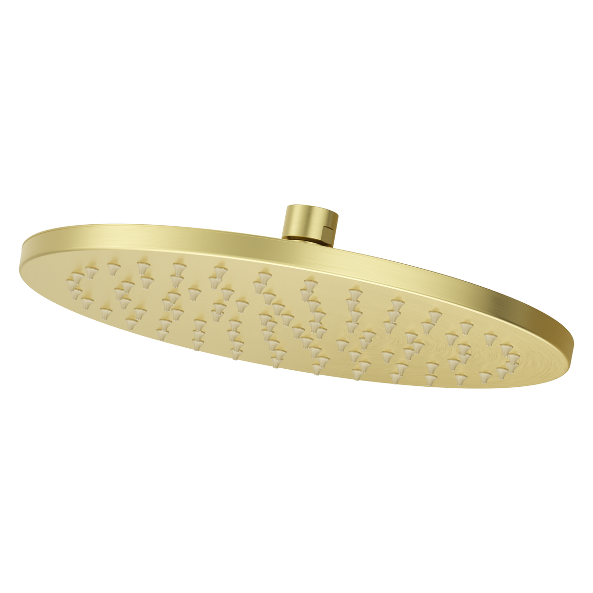 PFISTER Pfister USH03SHWBG modern round raincan showerhead 1.75 gpm 10 inch