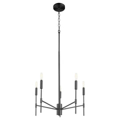 QUORUM INTERNATIONAL Quorum International 663-5-81 Hamilton 5 Light Chandelier 300 Watts 25.25 Inches Tall and 23.5 Inches Wide