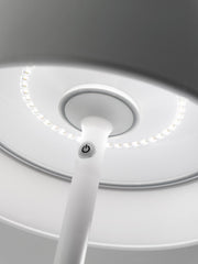ZAFFERANO Zafferano LD0360B3 Poldina Pro XXL Floor Lamp 6.5W
