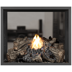 NAPOLEON Napoleon HD81NT-1 High Definition 81 See Through 60,000 BTU