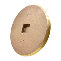 WAL-RICH Wal-Rich 2424314 6 countersunk BRS plug