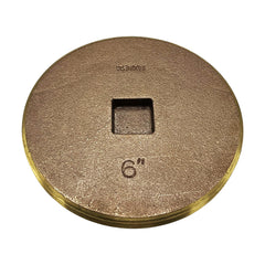WAL-RICH Wal-Rich 2424314 6 countersunk BRS plug