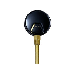 WAL-RICH Wal-Rich 1722013 hot water thermometer 3-1/2 inch