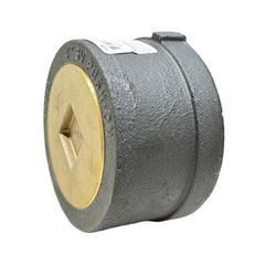 WAL-RICH Wal-Rich 2423304 4 inches Push-On Cleanout Less Gasket (Service Weight) with Countersunk Plug