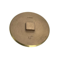 WAL-RICH Wal-Rich 2424214 raised-head brass plug 6in
