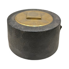 WAL-RICH Wal-Rich 2423504 4 inch Schedule 40 Push-On Cleanout Less Gasket with Raised Head Plug