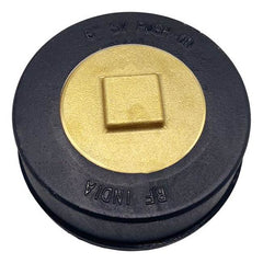 WAL-RICH Wal-Rich 2423106 6 inches Push-On Cleanout Less Gasket (Service Weight) With Raised Head Plug