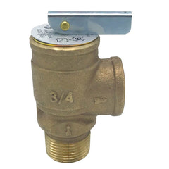 WAL-RICH Wal-Rich 1725602 3/4″ Relief Valve – Tankless 200,000 BTU Conbraco 17-402-04